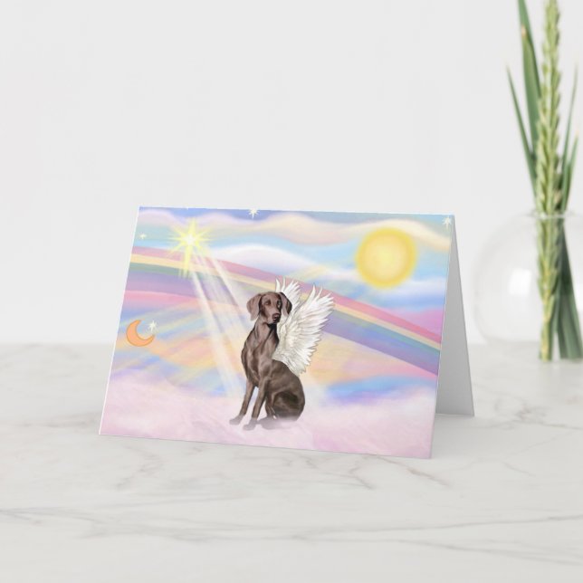 Weimaraner Kort (Framsida)