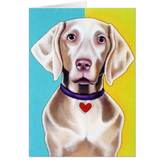 Weimaraner kort