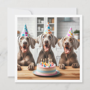 Weimaraner-kort, Weimaraner-födelsedag Inbjudningar