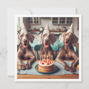 Weimaraner-kort, Weimaraner-födelsedag Inbjudningar