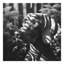 Weimaraner ’Majestic Hunter’ BW