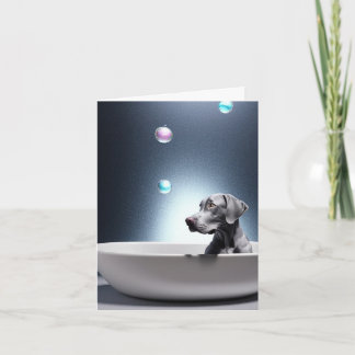 Weimaraner med gratulationskort för bubblor kort