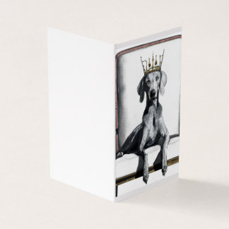 Weimaraner med krona sitta på stol kort