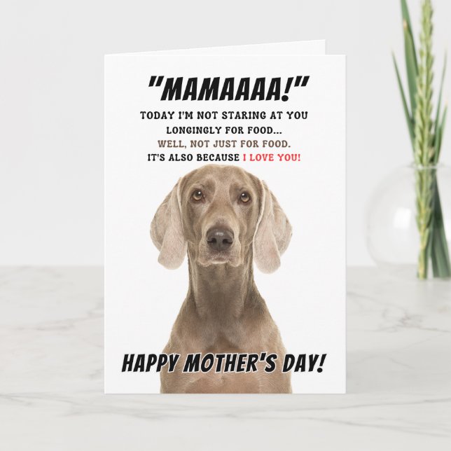 Weimaraner mors dag hälsningskort tack kort (Framsida)