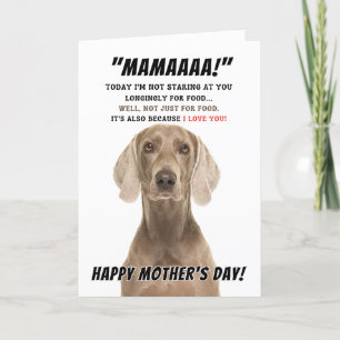 Weimaraner mors dag hälsningskort tack kort