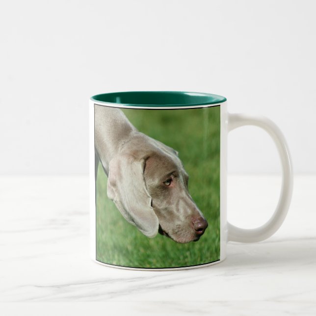 Weimaraner mugg (Höger)