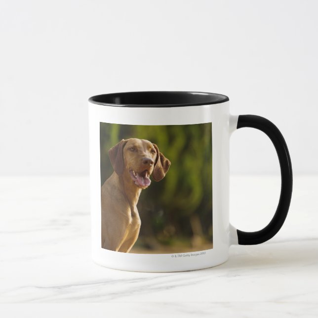 Weimaraner Mugg (Höger)