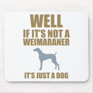 Weimaraner Musmatta