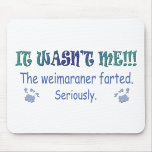 Weimaraner Musmatta