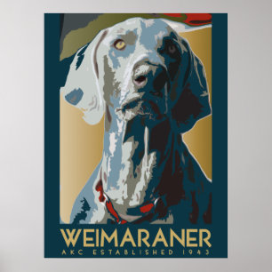 Weimaraner nation: AKC Weimaraner Poster