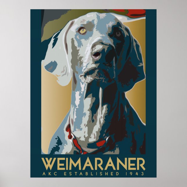 Weimaraner Nation : AKC Weimaraner Poster (Framsidan)
