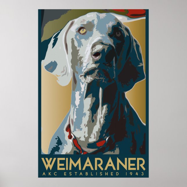 Weimaraner Nation : AKC Weimaraner Poster (Framsidan)