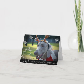 Weimaraner nation: "Inte var en varelse rörd… Helgkort