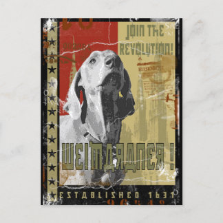 Weimaraner Nation: Vintage Weimaraner! Vykort