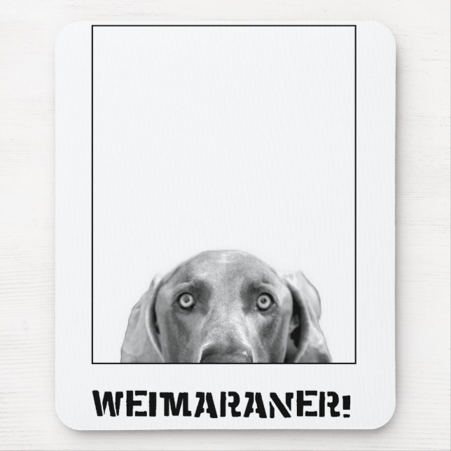 Weimaraner nation: Weimaraner i en boxas! Musmatta (Framsidan)