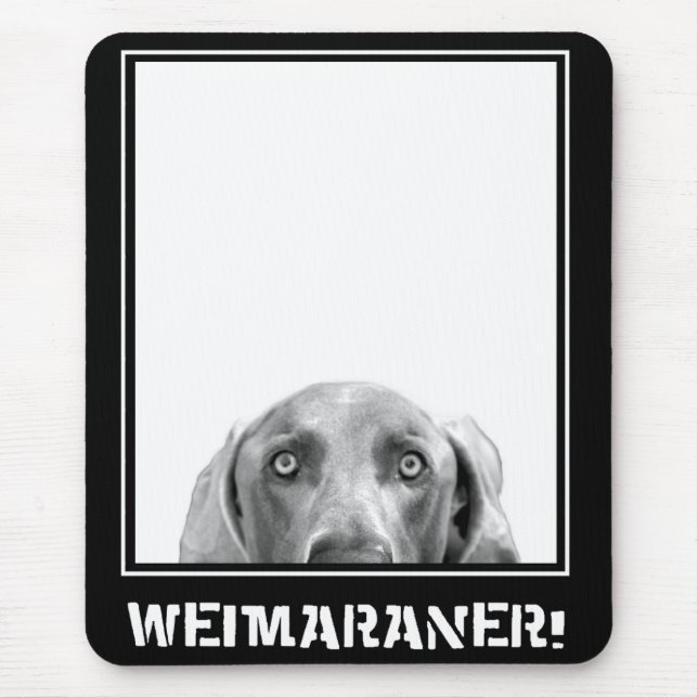 Weimaraner nation: Weimaraner i en boxas! Musmatta (Framsidan)