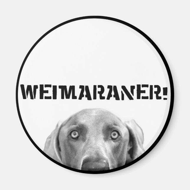 Weimaraner Nation: Weimaraner in a box! Magnet (Framsidan)