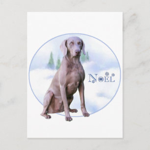 Weimaraner Noel Helg Vykort