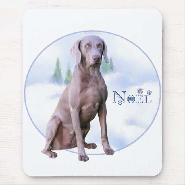 Weimaraner Noel Musmatta (Framsidan)