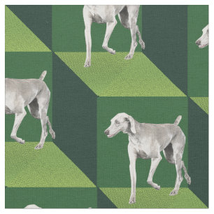 Weimaraner på gröna kuber tyg