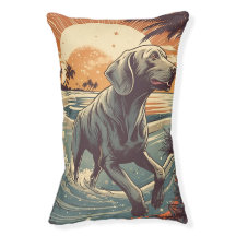 Weimaraner på stranden