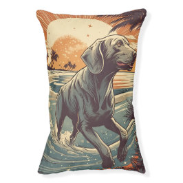 Weimaraner på stranden