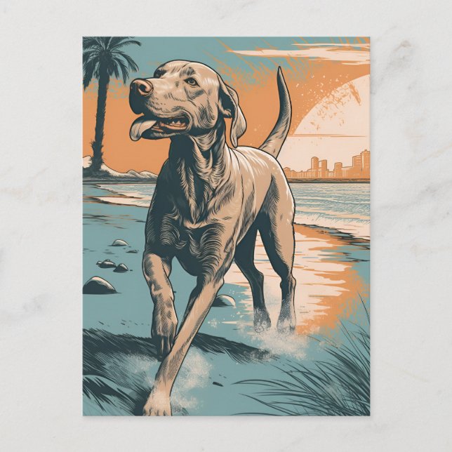 Weimaraner på stranden vykort (Framsida)