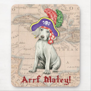 Weimaraner Pirat Musmatta