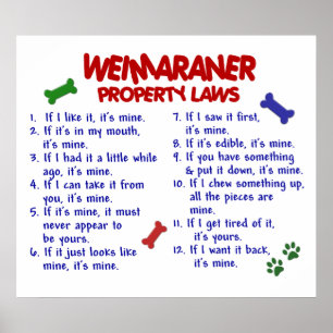 WEIMARANER PL2 POSTER
