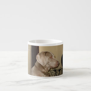 weimaraner.png espressomugg