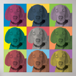 Weimaraner Pop-Konst prydnad Poster