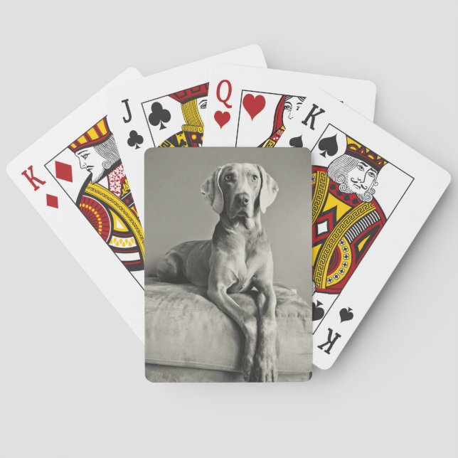 Weimaraner Porträtt Casinokort (Baksidan)