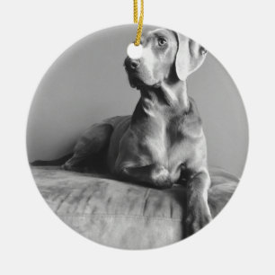 Weimaraner porträtt julgransprydnad keramik