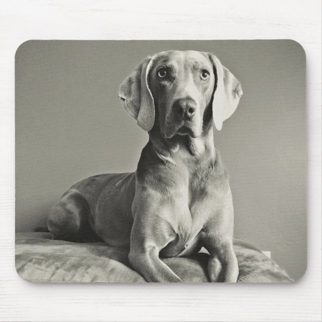 Weimaraner porträtt musmatta (Framsidan)