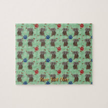 Weimaraner Porträtt