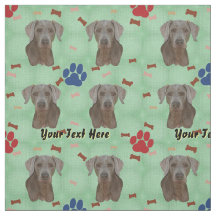 Weimaraner Porträtt