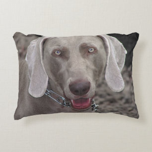 Weimaraner Prydnadskudde