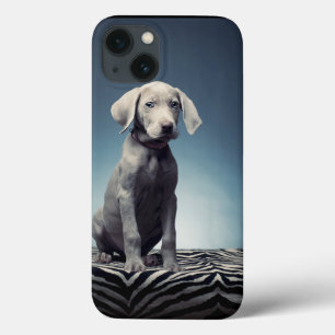 Weimaraner puppy