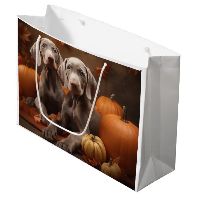 Weimaraner Puppy Autumn Delight Pumpkin (Framsidan Vinklad)