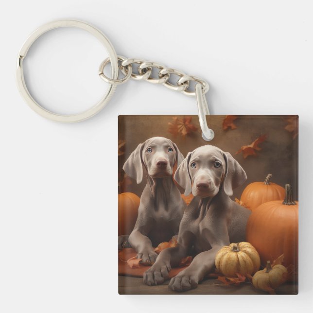 Weimaraner Puppy Autumn Delight Pumpkin (Framsidan)