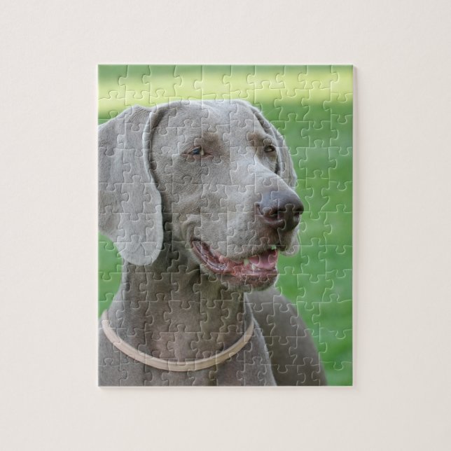 Weimaraner Pussel (Vertikal)