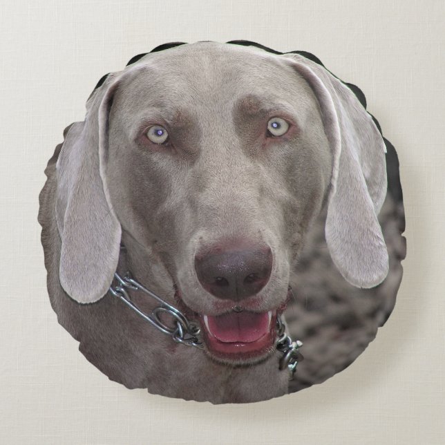 Weimaraner Rund Kudde (Framsidan)