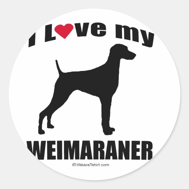 Weimaraner Runt Klistermärke (Framsida)