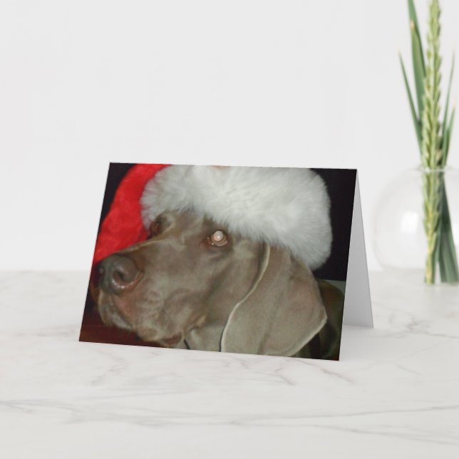 Weimaraner Santa Card Helgkort (Framsida)
