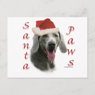 Weimaraner Santa tassar Helg Vykort