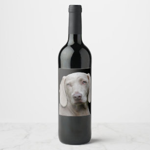 Weimaraner Silver Grått Vinflaska Etikett