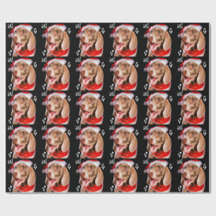 Weimaraner som slår in papper presentpapper