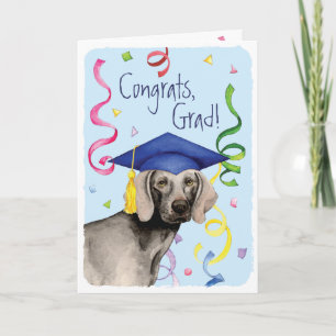 Weimaraner student kort