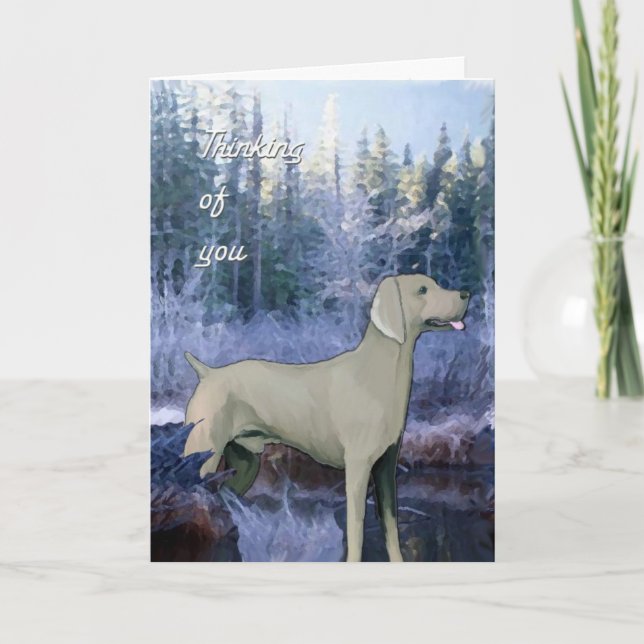weimaraner_sympati_kort kort (Framsida)
