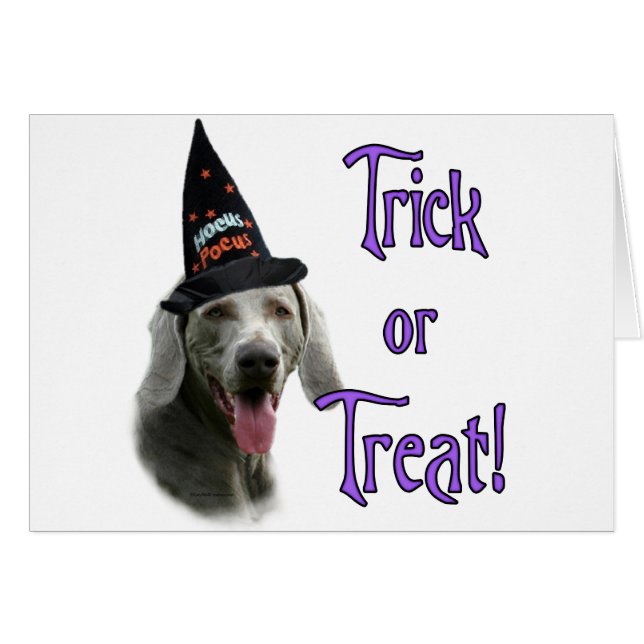 Weimaraner Trick Hälsningskort (Framsidan Horizontal)